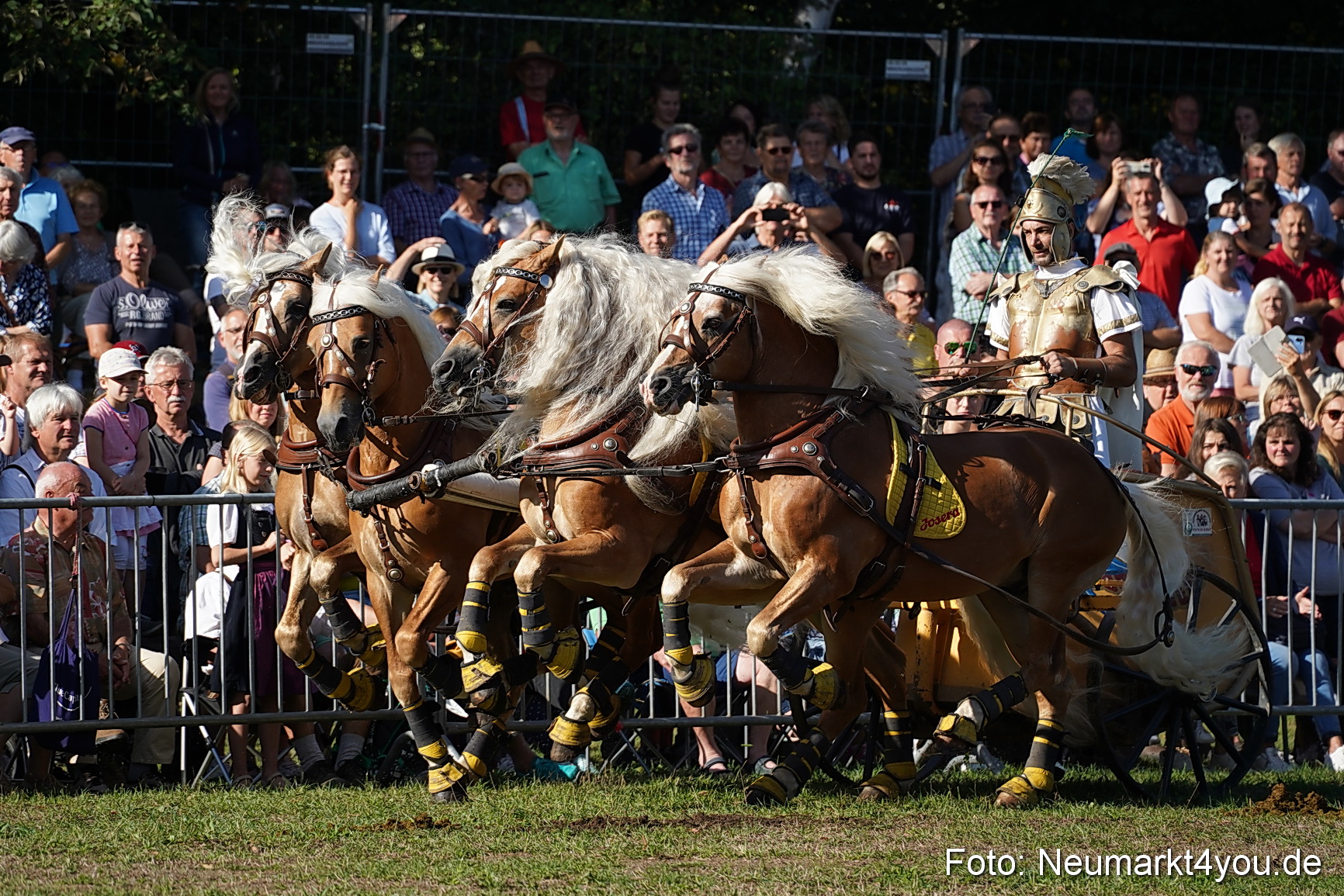 Pferde und Fohlenschau 2022 0028 